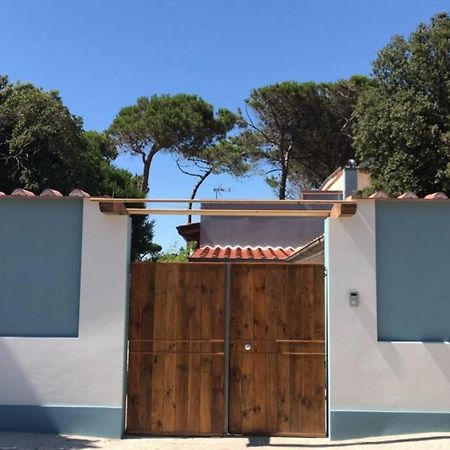 Viareggina Con Giardino Appartement Marina Di Pisa Buitenkant foto